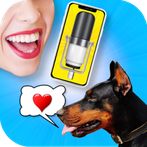 Dog Translator Simulator