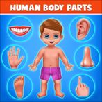 Human Body Parts - Kids Games