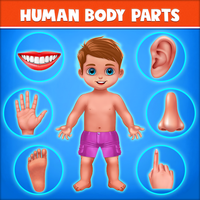 Human Body Parts - Kids Games