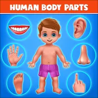 Human Body Parts - Kids Games