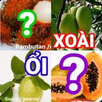 đoán tên trái cây tiếng việt