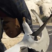 Put Me Down