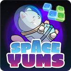 Space Yums Puzzle
