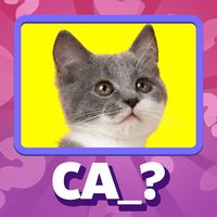 Guess the Idiom Quiz Show