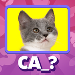 Guess the Idiom Quiz Show