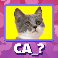 Guess the Idiom Quiz Show