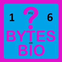 BoB Quiz 1HV6