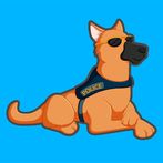 K9 Run
