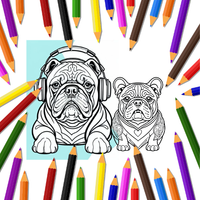 Color Bulldog Stres Relieving