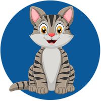 Yakala Bakalım - Kediyi Yakala