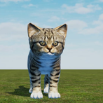 Virtual Kitten - Virtual Cat