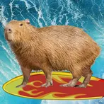Capybara Mushroom Trip