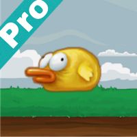 FlappyBirdy Pro