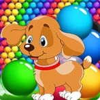 bubble dog