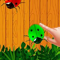 Bug Smasher: insect kill