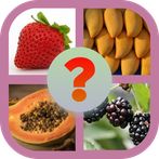 Guess frutas
