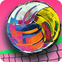 3D Flash Volleyball