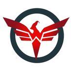 Wild Gaming: Lyon City