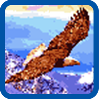 Eagle Pixel Number