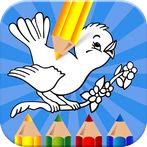 Learn & Play with Colors