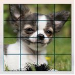 강아지 슬라이드 퍼즐 Cute Puppy Sliding