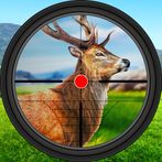 Deer Jungle Hunting Game 2023