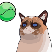 Cat Tennis: Tennis Champions