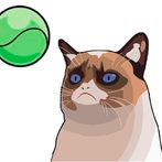 Cat Tennis: Tennis Champions