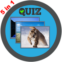 Word Games: guessing games