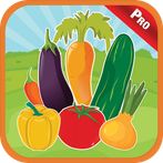 Vegetables Alphabet Kids Games