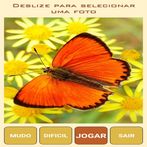 Quebra-Cabeça de Borboletas