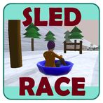 Sled Race Surfers