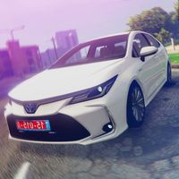 Corolla Parking: Toyota Driver