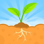 Seed Sim