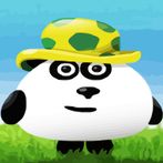 3 Pandas Adventure in Brazil