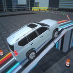 Prado Parking Precision Pro