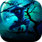 Ninja Shadow Of Tear