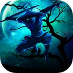 Ninja Shadow Of Tear