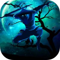 Ninja Shadow Of Tear