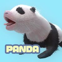 Newborn panda