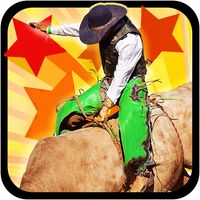 Bull Riding Challenge 3