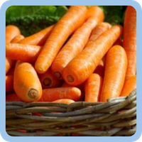 tebak gambar nama sayuran