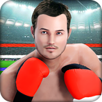 Punch Boxing Fighting Crush 3D