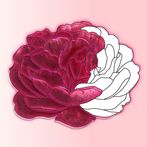 Flowers Adult Coloring Book
