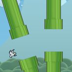 Falling Bird Adventures