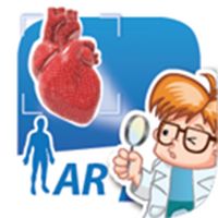 EDU_human_torso_AR_27