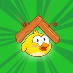 Cover Chicken