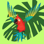 Jungle Life - Hidden Objects