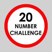 NV 20 number challenge