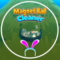Magnet Ball Cleaner